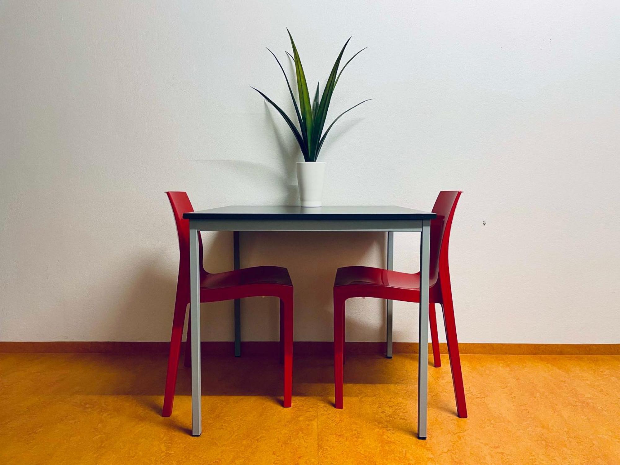 Campea Business Apartments Brno Rum bild