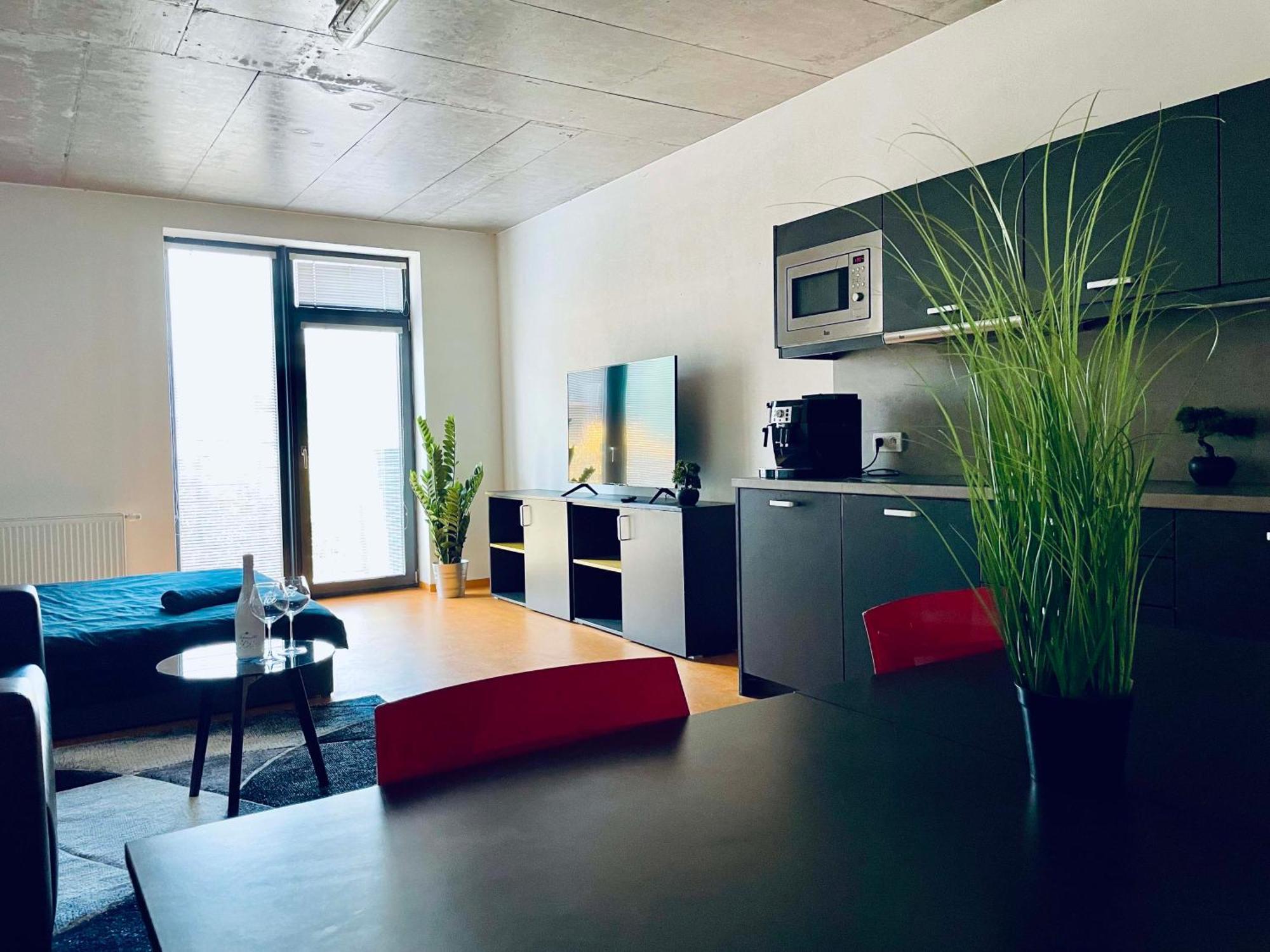 Campea Business Apartments Brno Rum bild
